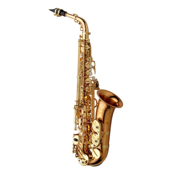 Yanagisawa | AWO20 Alto Saxophone - Bronze