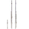 Takumi | A500 Flute