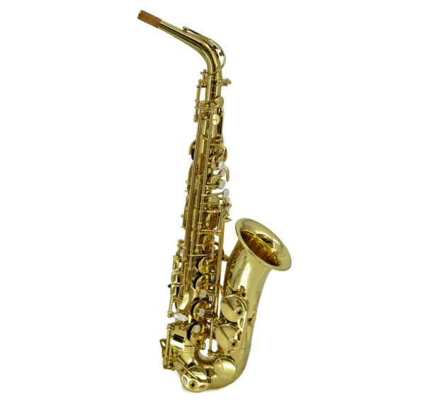 Selmer Paris | SA80 Series II Alto Saxophone