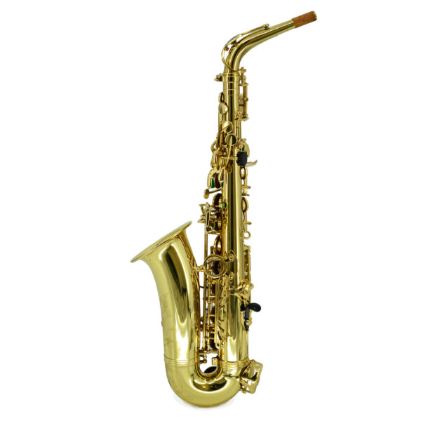 Selmer Paris | SA80 Series II Alto Saxophone