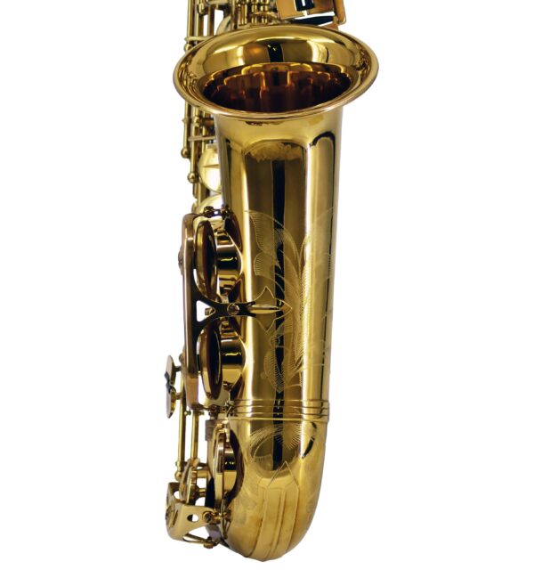 Selmer Paris | Series II Alto Saxophone